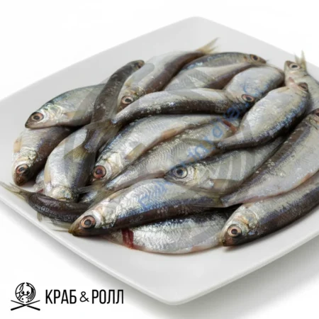 Тугун Енисей с/с